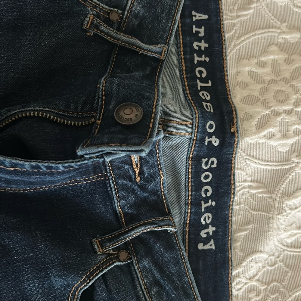 Articles of Society Skinny Jeans